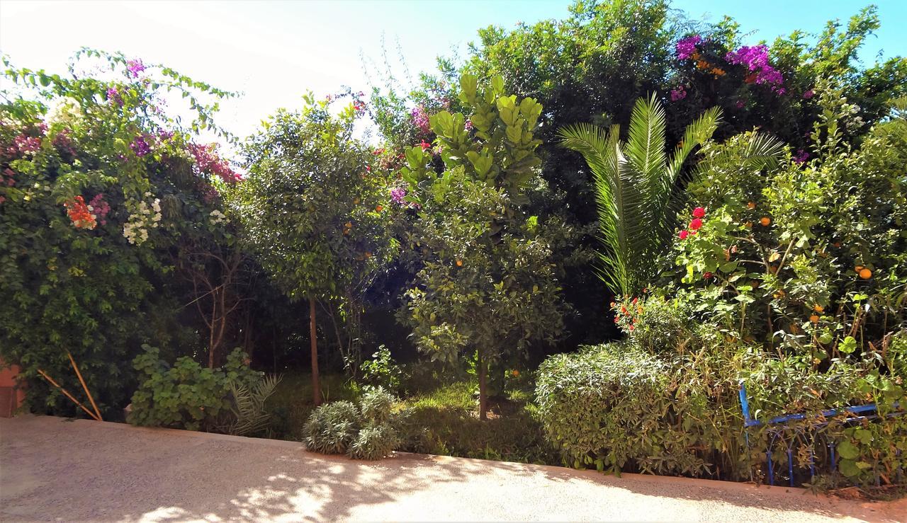 Surf & Yoga Paradise Morocco Hostel Tamraght Ou Fella Kültér fotó